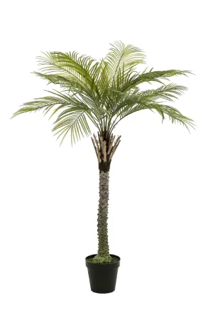 Artificial Date Tree | Emerald Phoenix Palm Deluxe