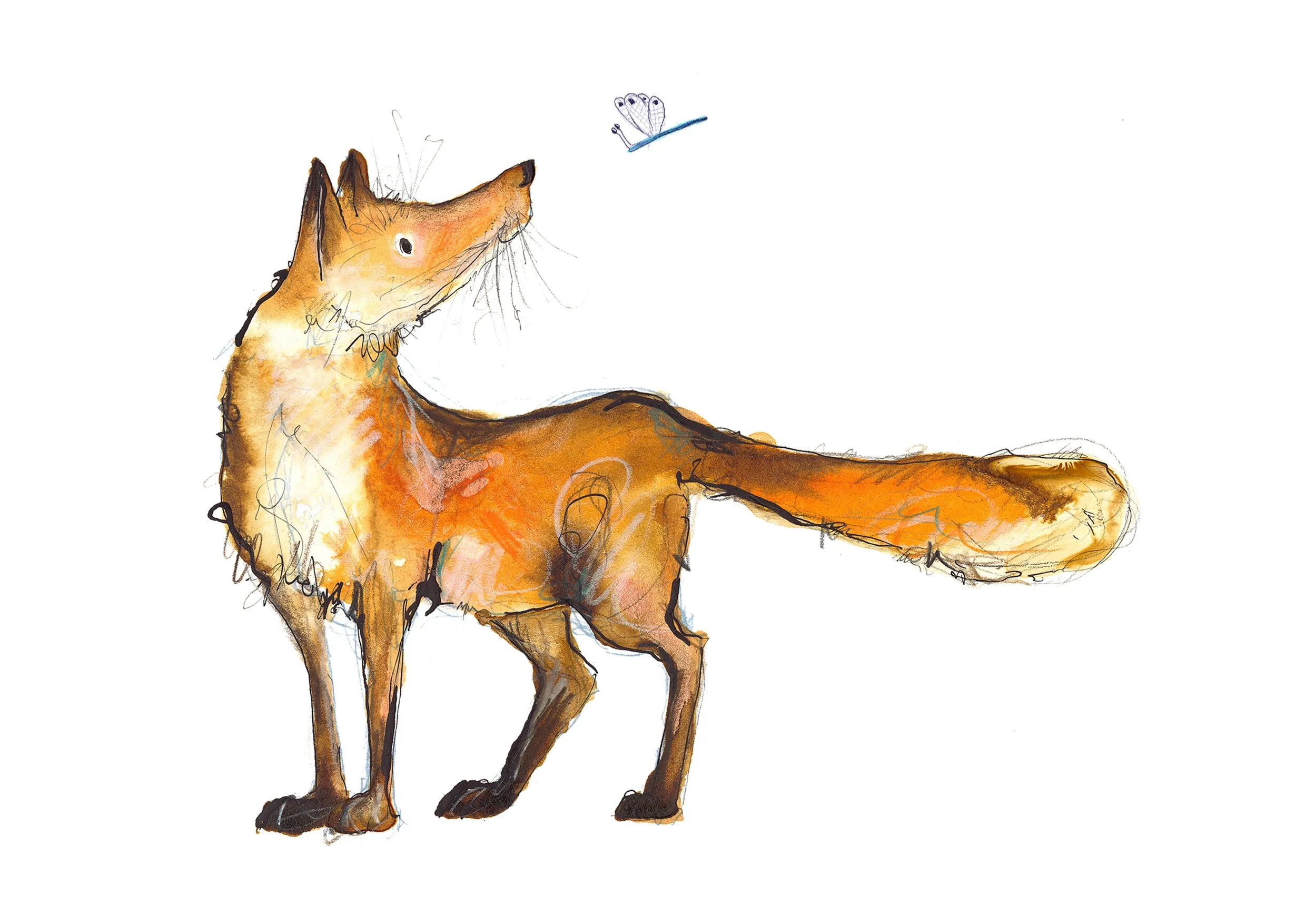 Dexter the Fox A5 Print