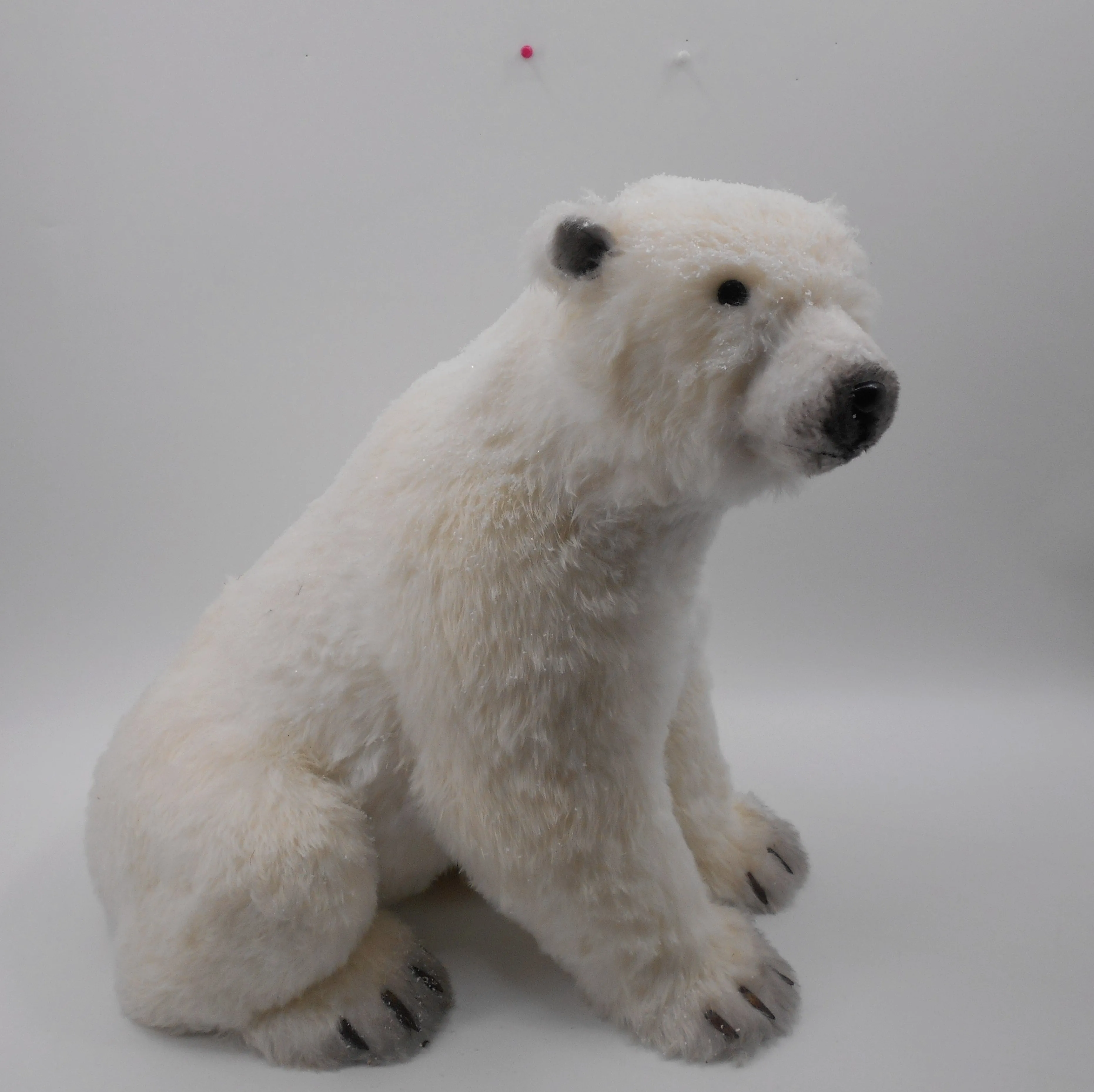 Oso Polar GRANDES caminando VR / BIG walking Polar Bears VR